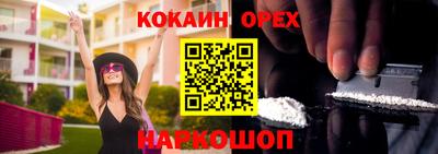 гашик Гатчина