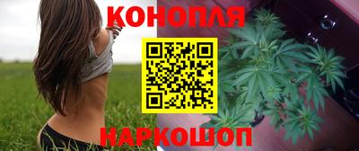 винт Гай