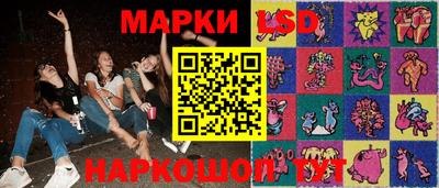гашик Гатчина
