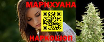 гашик Гатчина