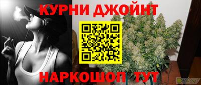 гашик Гатчина