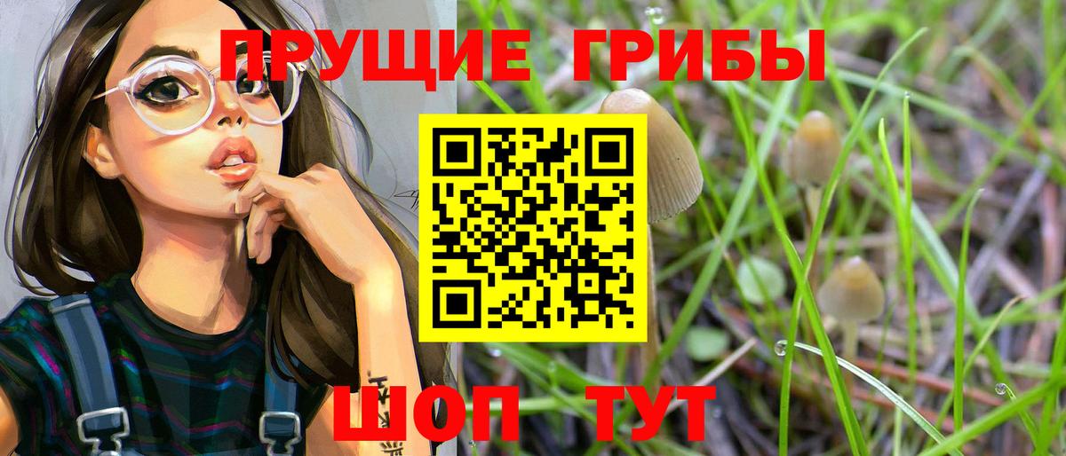 Галлюциногенные грибы прущие грибы Новороссийск