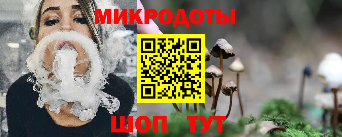 Псилоцибиновые грибы Cubensis  купить   Новороссийск  Вход с VPN 